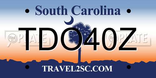 TDO40Z South Carolina License Plate