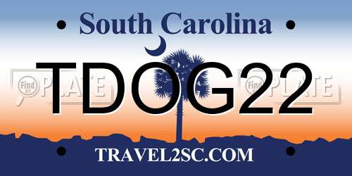 TDOG22 South Carolina License Plate