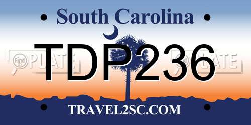 TDP236 South Carolina License Plate