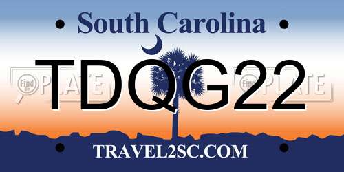 TDQG22 South Carolina License Plate