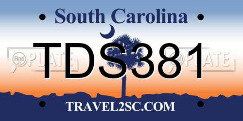 TDS381 South Carolina License Plate