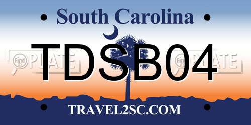 TDSB04 South Carolina License Plate