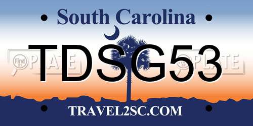 TDSG53 South Carolina License Plate