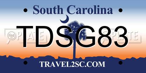 TDSG83 South Carolina License Plate