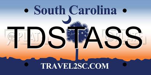 TDSTASS South Carolina License Plate