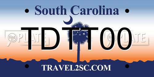 TDTT00 South Carolina License Plate
