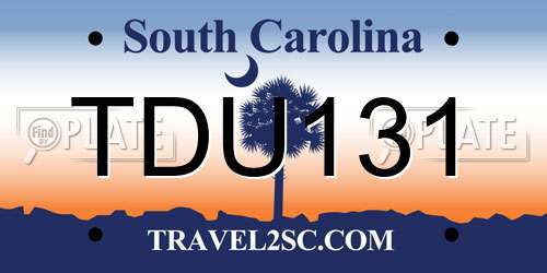 TDU131 South Carolina License Plate