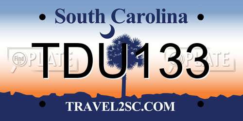 TDU133 South Carolina License Plate