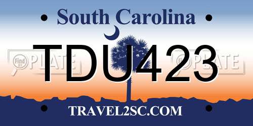 TDU423 South Carolina License Plate