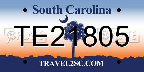 TE21805 South Carolina License Plate