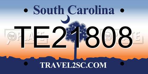 TE21808 South Carolina License Plate