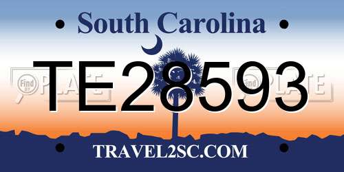 TE28593 South Carolina License Plate