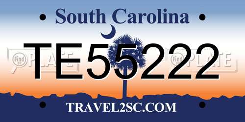TE55222 South Carolina License Plate