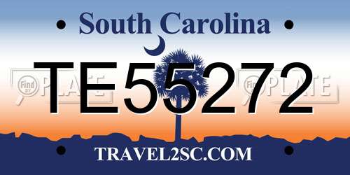 TE55272 South Carolina License Plate