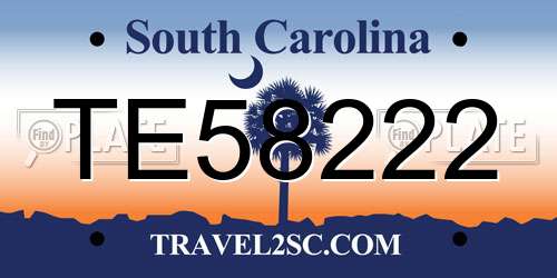 TE58222 South Carolina License Plate