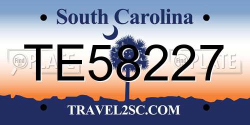 TE58227 South Carolina License Plate