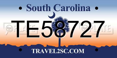 TE58727 South Carolina License Plate
