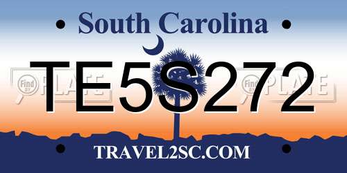 TE5S272 South Carolina License Plate