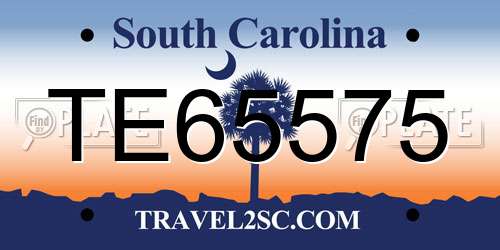 TE65575 South Carolina License Plate