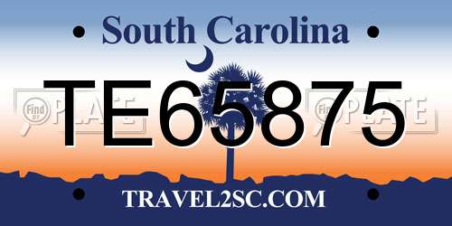TE65875 South Carolina License Plate