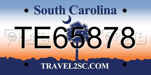 TE65878 South Carolina License Plate