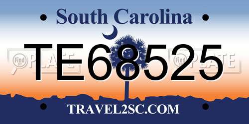 TE68525 South Carolina License Plate