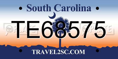 TE68575 South Carolina License Plate