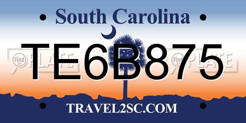 TE6B875 South Carolina License Plate