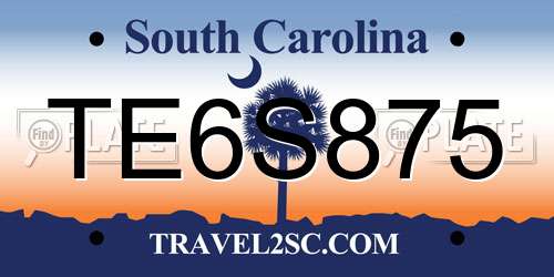 TE6S875 South Carolina License Plate