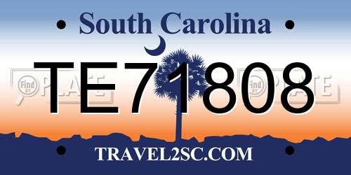 TE71808 South Carolina License Plate