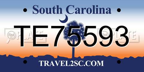 TE75593 South Carolina License Plate