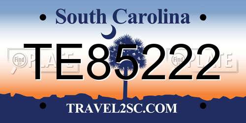TE85222 South Carolina License Plate