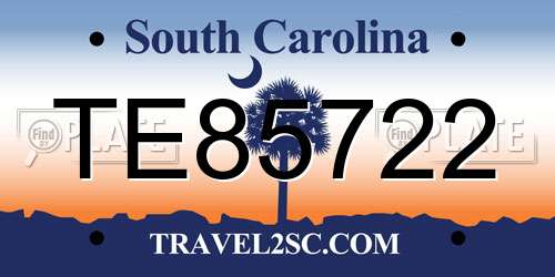 TE85722 South Carolina License Plate