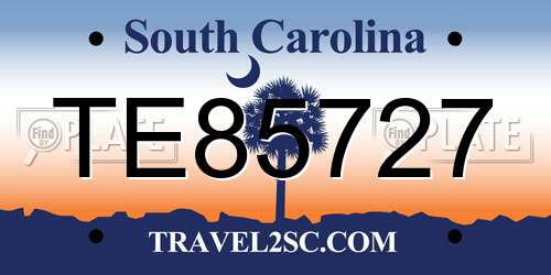 TE85727 South Carolina License Plate