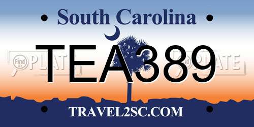 TEA389 South Carolina License Plate