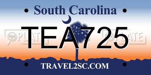 TEA725 South Carolina License Plate