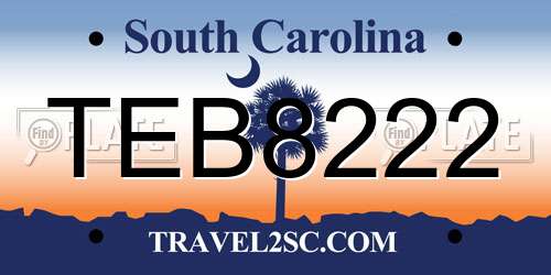 TEB8222 South Carolina License Plate