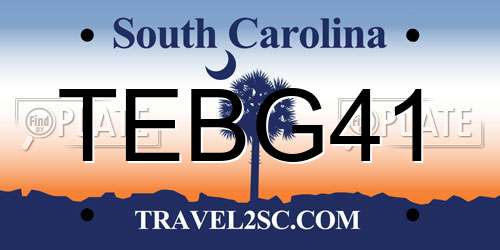 TEBG41 South Carolina License Plate