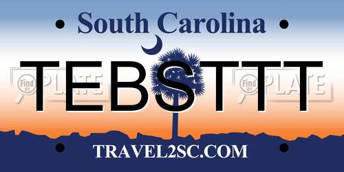 TEBSTTT South Carolina License Plate