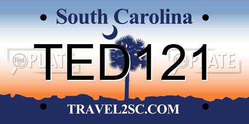 TED121 South Carolina License Plate