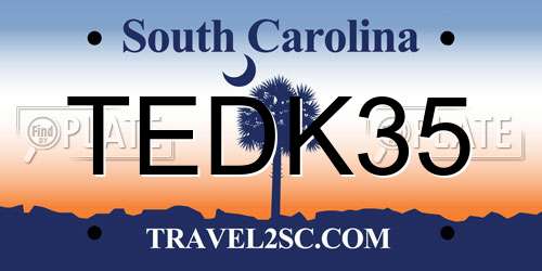 TEDK35 South Carolina License Plate