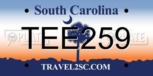 TEE259 South Carolina License Plate