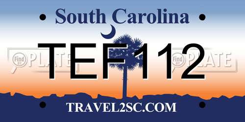 TEF112 South Carolina License Plate