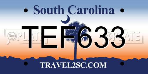 TEF633 South Carolina License Plate