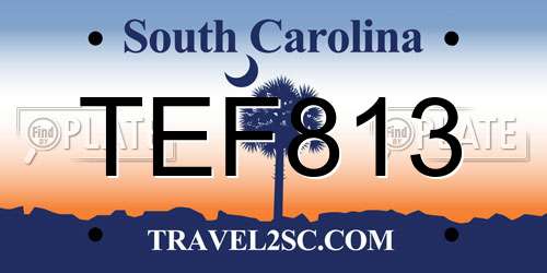 TEF813 South Carolina License Plate