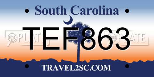 TEF863 South Carolina License Plate