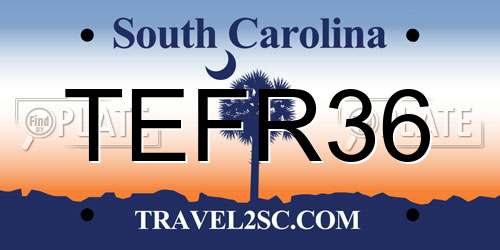 TEFR36 South Carolina License Plate