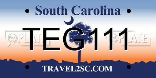 TEG111 South Carolina License Plate