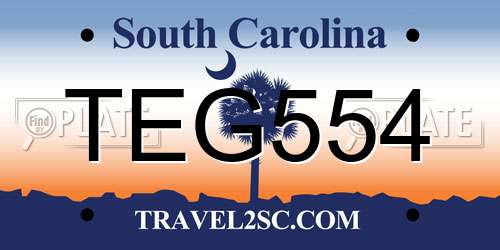TEG554 South Carolina License Plate