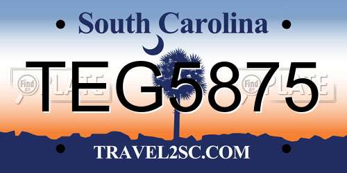 TEG5875 South Carolina License Plate